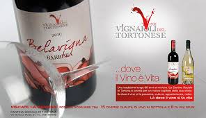 You are currently viewing VIGNAIOLI del TORTONESE